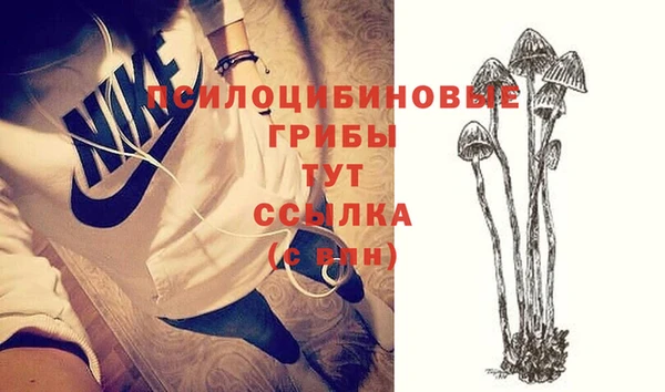 бошки Бугульма
