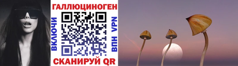 Псилоцибиновые грибы мицелий  Коркино 